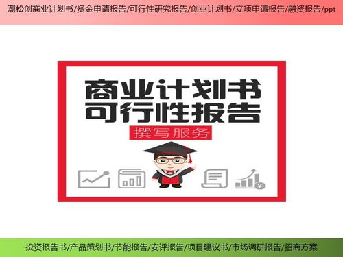 大同市合作股权合并项目可行性研究报告基本要求——销售自行开发后的产品